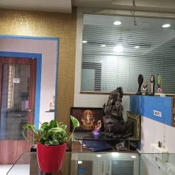 CGASPL Good Luck Money Plant N' Joy (Scindapsus) Plant With Pot , 5 Gram Fertilizer Free