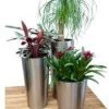 CGASPL Pot-Planters Stainles Steel SS Conical Planter