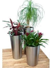 CGASPL Pot-Planters Stainles Steel SS Conical Planter 3 CGASPL Pot-Planters Stainles Steel SS Conical Planter