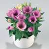 CGASPL Imported Flower Seeds Lisianthus (Eustoma) Carmen Lilac Flower Seeds 2 CGASPL Imported Flower Seeds Lisianthus (Eustoma) Carmen Lilac Flower Seeds