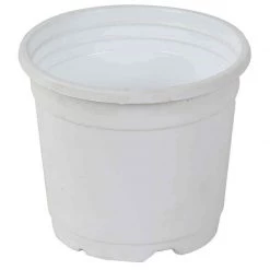 CGASPL 4" Flower Pot White Colour Sunrise Series (10 Cm)