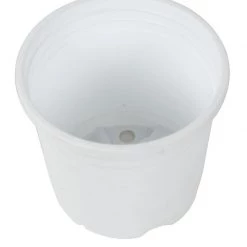 CGASPL 4" Flower Pot White Colour Sunrise Series (10 Cm)