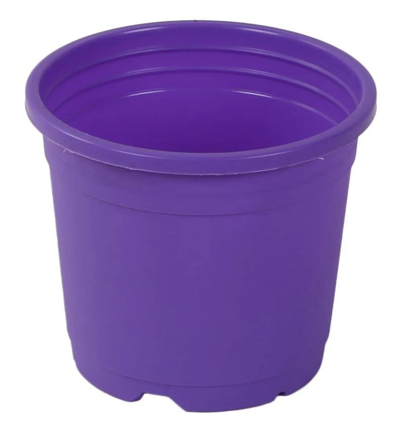 CGASPL Pot-Planters 4" Flower Pot Violet Colour Sunrise Series (10 Cm) 3 CGASPL Pot-Planters 4" Flower Pot Violet Colour Sunrise Series (10 Cm)