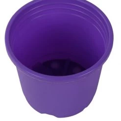 CGASPL Pot-Planters 4" Flower Pot Violet Colour Sunrise Series (10 Cm)