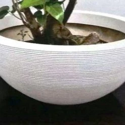 CGASPL Juhi Oval  Fiber Planter