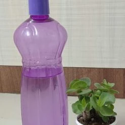 ChhajedGarden.com Beautiful Live Assorted Succulents Plants Quantity-8 (Any 8 Succulents Plant)