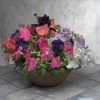 Sakata Seeds Petunia Single Gf. Falcon Mix Flower Seeds 2 Sakata Seeds Petunia Single Gf. Falcon Mix Flower Seeds