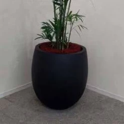 CGASPL Peony Small Fiber Planter