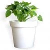 CGASPL Illuminated Planter 9155 Pot-Planters
