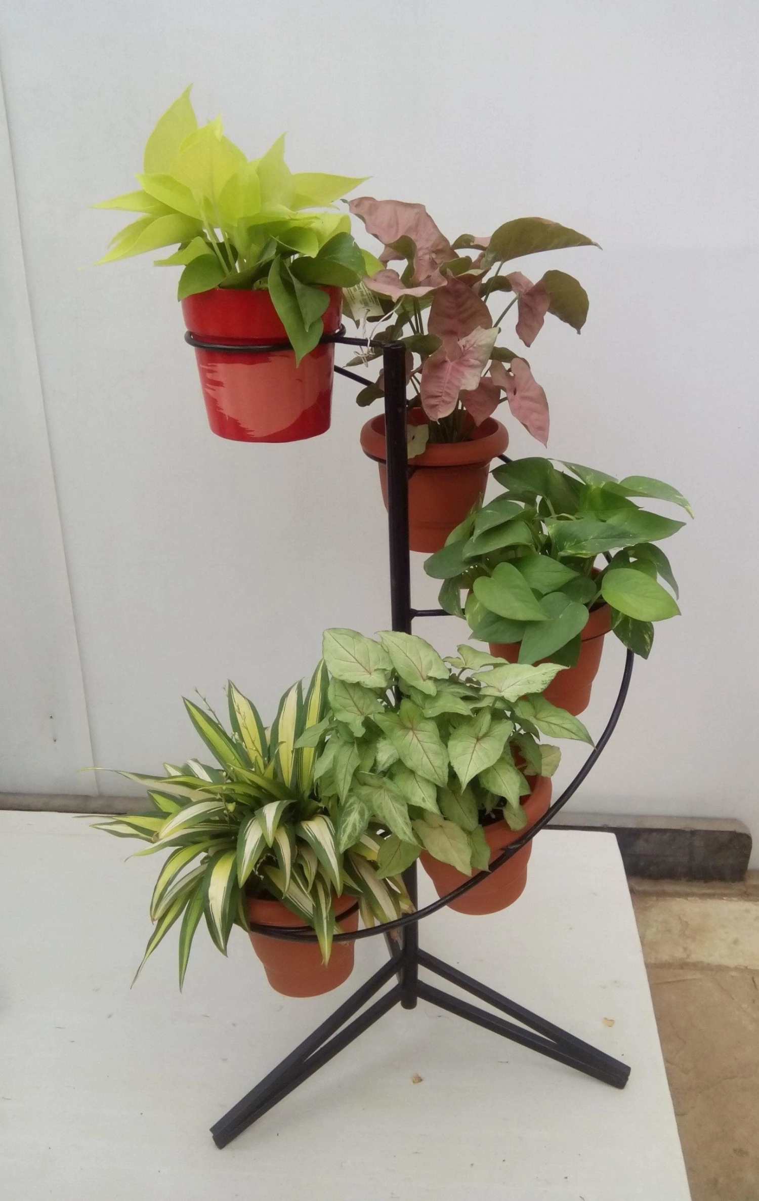 CGASPL Pot-Planters 5 Pot Spiral (Ring) Pot Stand 3 CGASPL Pot-Planters 5 Pot Spiral (Ring) Pot Stand