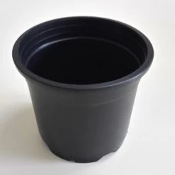 CGASPL Pot-Planters 10" Flower Pot Black Colour Sunrise Series (26 Cm) (Pack Of 12)