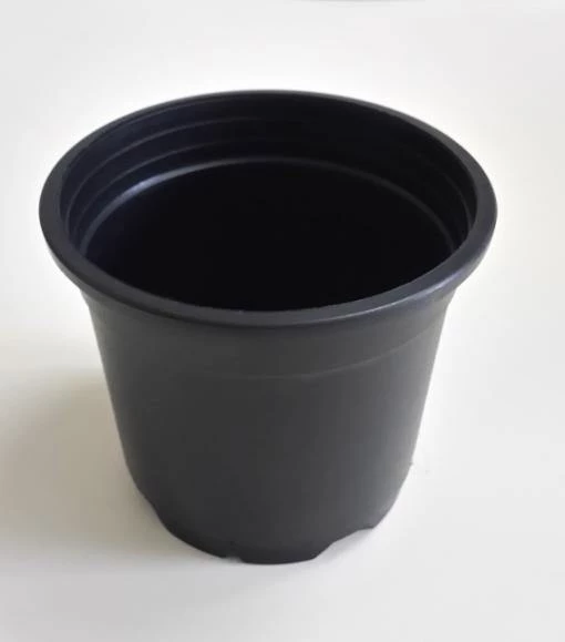 CGASPL Pot-Planters 10" Flower Pot Black Colour Sunrise Series (26 Cm) (Pack Of 12) 3 CGASPL Pot-Planters 10" Flower Pot Black Colour Sunrise Series (26 Cm) (Pack Of 12)