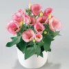 CGASPL Lisianthus (Eustoma) Carmen Rose Flower Seeds