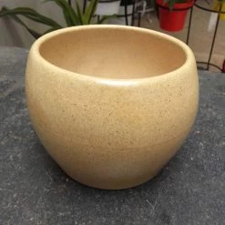 CGASPL Ceramic Pot (Round Shape) (Pack Of 2) Pot-Planters