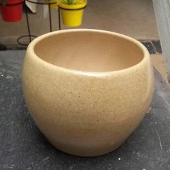 CGASPL Ceramic Pot (Round Shape) (Pack Of 2) Pot-Planters