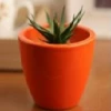 CGASPL Round Ceramic Pot, Orange (Pack Of 3) Pot-Planters 1 CGASPL Round Ceramic Pot, Orange (Pack Of 3) Pot-Planters