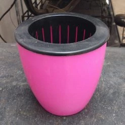 CGASPL Self Watering Planter 4", Pink
