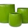CGASPL Pot-Planters Knob Shiny Green Fiber Pots 2 CGASPL Pot-Planters Knob Shiny Green Fiber Pots