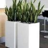 CGASPL Stainless Steel SS Square Planters