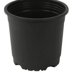 CGASPL 4" Flower Pot Black Colour Sunrise Series (10 Cm)