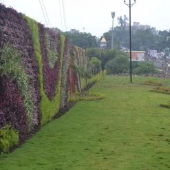 CGASPL Pot-Planters Yellow Colour Vertical Wall Garden Panel Set (Pack Of 10 Per Set)