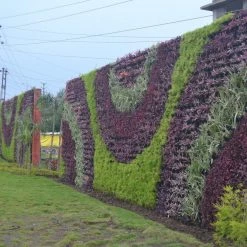 CGASPL Pot-Planters Vertical Wall Garden Model Vertigreen Black (1 Frame + 3 Pots)