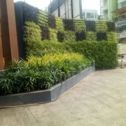 CGASPL Pot-Planters Vertical Wall Garden Model Vertigreen Black (1 Frame + 3 Pots)