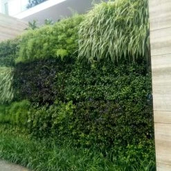 CGASPL Green Vertical Hook Pot Pot-Planters