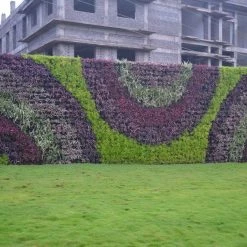 CGASPL Pot-Planters Vertical Wall Garden Model Vertigreen Black (1 Frame + 3 Pots)