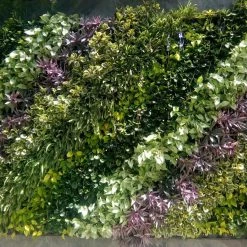 CGASPL Vertical Garden, Wall Garden Panel Yellow (1 Frame + 3 Pots) - Pack Of 10 Panels Pot-Planters 12 CGASPL Vertical Garden, Wall Garden Panel Yellow (1 Frame + 3 Pots) - Pack Of 10 Panels Pot-Planters