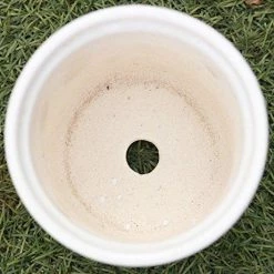 CGASPL Shiny White Round Ceramic Pot (Pack Of 3) Pot-Planters