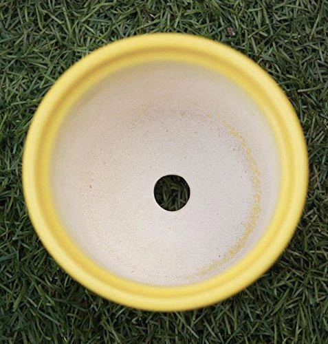 CGASPL Shiny Yellow Round Ceramic Pot (Pack Of 3) Pot-Planters 4 CGASPL Shiny Yellow Round Ceramic Pot (Pack Of 3) Pot-Planters