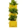 CGASPL Pot-Planters Yellow Colour Vertical Wall Garden Panel Set (Pack Of 10 Per Set) 2 CGASPL Pot-Planters Yellow Colour Vertical Wall Garden Panel Set (Pack Of 10 Per Set)