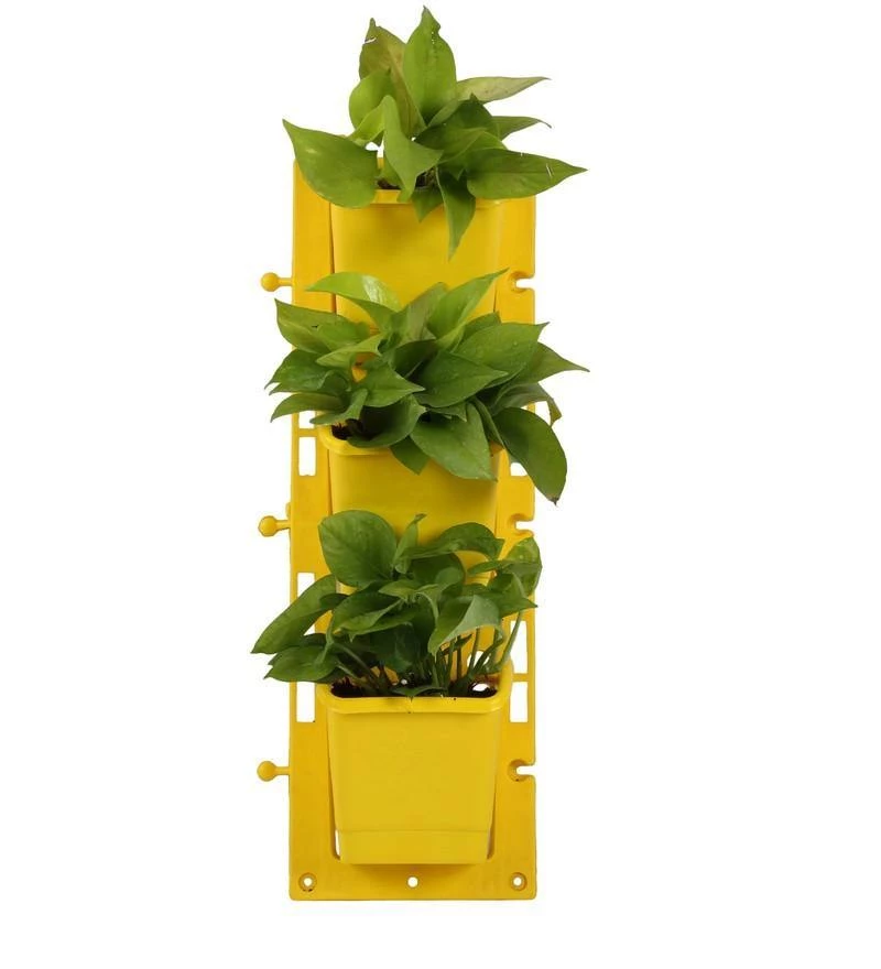 CGASPL Vertical Garden, Wall Garden Panel Yellow (1 Frame + 3 Pots) - Pack Of 10 Panels Pot-Planters 3 CGASPL Vertical Garden, Wall Garden Panel Yellow (1 Frame + 3 Pots) - Pack Of 10 Panels Pot-Planters
