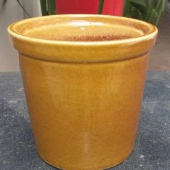CGASPL Shiny Brown-Yellowish Round Ceramic Pot (Pack Of 3) Pot-Planters